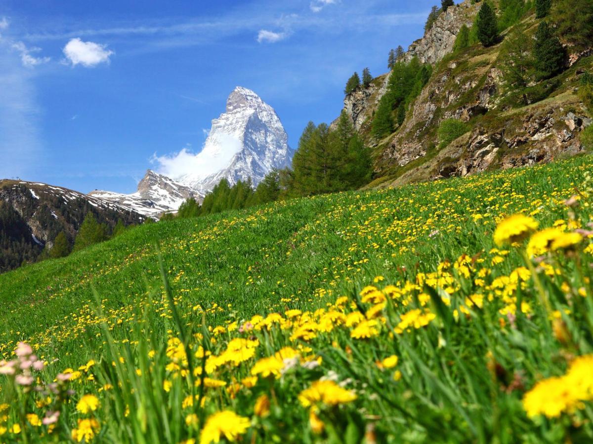 Apartment Gamma By Interhome Zermatt Bagian luar foto